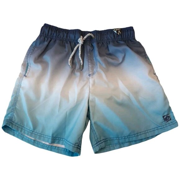 🪻BOGO🪻 Mens Board Shorts Sz 32 Ombre Print Trunks ISLAND HAZE - Picture 1 of 11